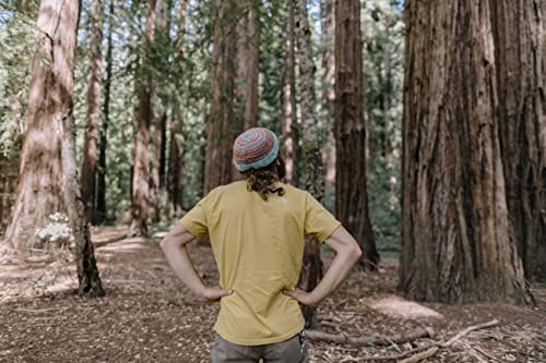 Coast Redwood | Tree Seed Grow Kit | The Jonsteen Company
