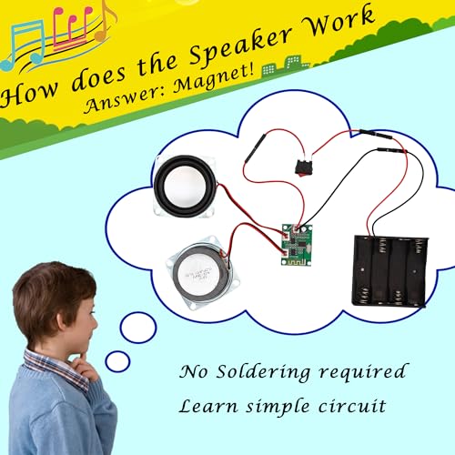 Teen Boy Gifts -DIY Bluetooth Speaker Kit -STEM Science Electronics Project - style: Printed Dual Speakers