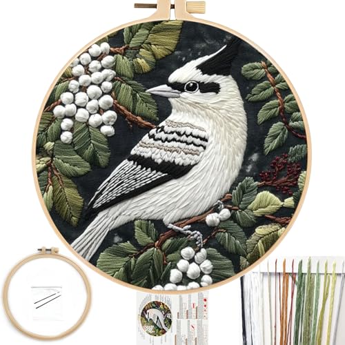 FONNUY Wild Birds Embroidery Kit, Pre-Stamped Green Tree Bird Patterns Kits for Adults and Beginners, Handmade DIY Crafts Set, Color Thread Needlework, 8'' Hoop (Smart Parrot) - color: Smart Parrot