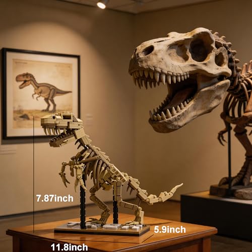 T-Rex Skeleton Building Set Model Poseable Joints 316Pcs Office Display