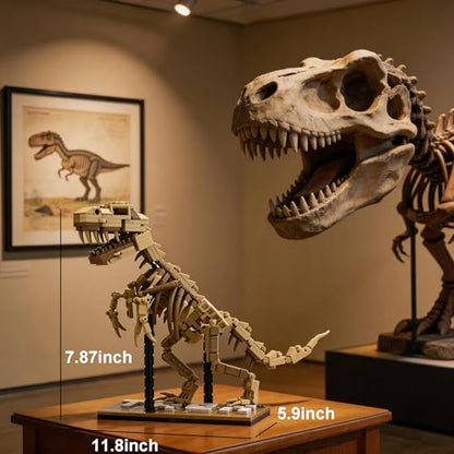 T-Rex Skeleton Building Set Model Poseable Joints 316Pcs Office Display