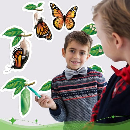 Relaxweex 9 Pcs Magnetic Butterfly Life Cycle Toys for Kid Caterpillar to Monarch Butterfly Growth Cycle Toy Insect Figures for Kids Education Preschool Classroom Insect Themed Teaching Tools Supplies