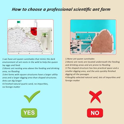 EXBEPE Ant Farm Castle for Kid Acrylic Ant Colony Observation Kit with Sand - style: S12
