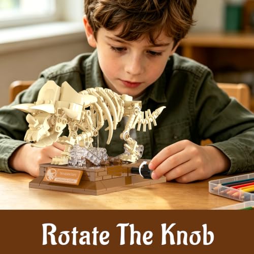 Dinosaur Fossil Building Sets, Mechanical Dino Skeleton Model - color: Dinosaur