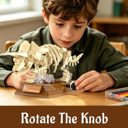 Dinosaur Fossil Building Sets, Mechanical Dino Skeleton Model - color: Dinosaur
