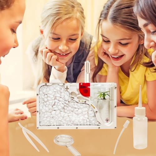EXBEPE Ant Farm Castle for Kid Acrylic Ant Colony Observation Kit with Sand - style: S12