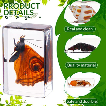 40 Pcs Insect in Resin Specimen Bugs Collection Paperweights Real Bugs in Resin Various Insect Specimen for Kids Scientific Educational Supplies