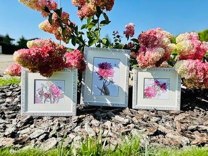 Aine A1010 Peonies. Whisper Counted Cross Stitch Kit 7 x 6 in - size: Peonies. Whisper