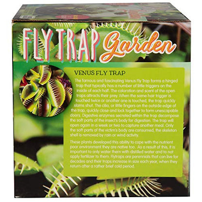 Carnivorous Fly Trap Glass Terrarium Garden Kit by Unique Gardener, Plant Terrarium Starter Supplies for Indoor Gardening - Watch Jaws Snap Shut - Easy & Fun Flytrap Planting Lasts for Years! - style: Venus Flytrap