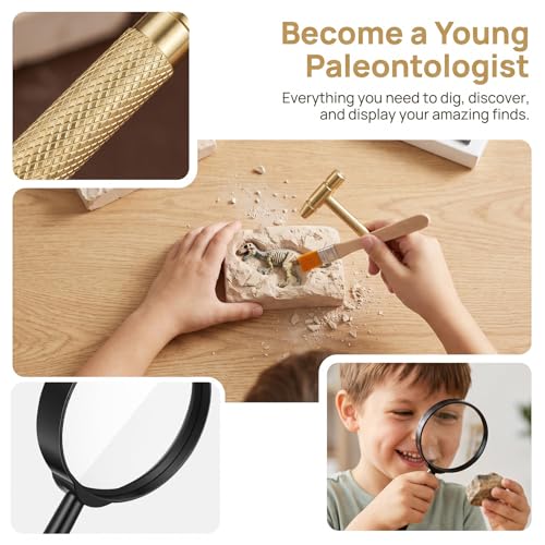Toddmomy Golden ABS Kids Fossil Dig Kit Hammer Brush Magnifier 5.9in