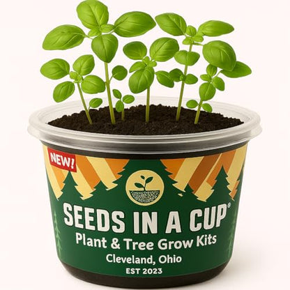 Black Locust Tree Starter Kit - Easy-to-Use, Educational, Great Gift - Made in USA - style: Locust
