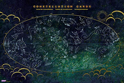 Roylco Astronomical Constellation Cards, Light Table Activity, STEM Educational Flashcards, Large and Easy to use, Sturdy, Water Resistant, Quality