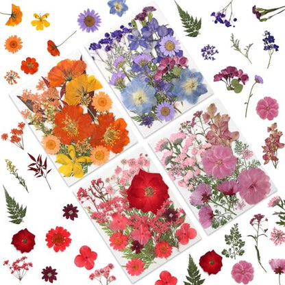 LUXEEASE 80P Vibrant Multicolor Dried Pressed Flowers - color: Warm Toned Flowers 80p