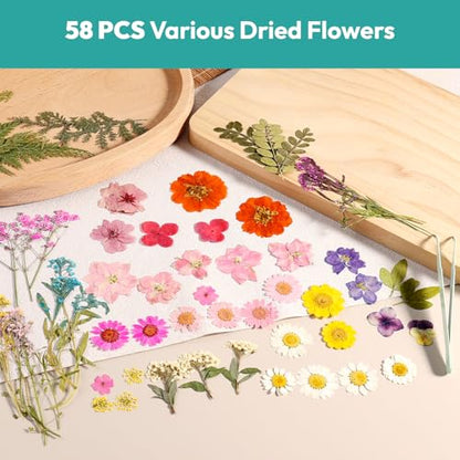 Dried Flowers, Resiners 58Pcs Pressed Flowers for Craft - color: Berry Red 58pcs
