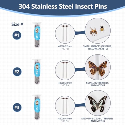 304 Stainless Steel Insect Pins – 300pcs Entomology Specimen Needles & 200 Bead Needles for Insect Specimen, Butterfly Collection, School Lab & Specimen Display - size: 300 Insect Pins + 200 Bead Needles Kit