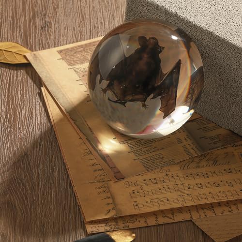 Taxidermy Bat, Real Bat Specimens Animal Specimen in Resin for Science Classroom Science Education, Great Gift for Fans of Taxidermy, Animal Skull, Oddities, Biology(Round 3.5 inch) - color: Taxidermy Bat (Semicircle 3.5 Inch)