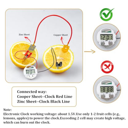 Science Kits for Kids, 6 Pack Fruit Battery Bulk STEM Circuit Kits 6-12