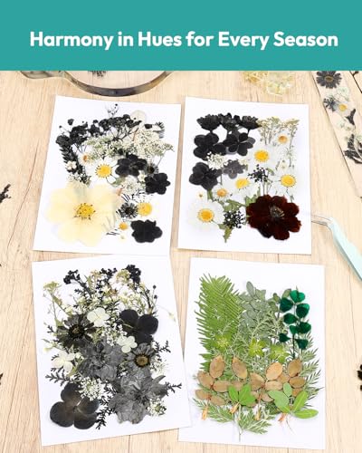 Dried Flowers, Resiners 100Pcs Pressed Flowers for Craft Black Real Natural Dried Flowers Dry Leaves Kit for DIY Making Crafts Resin Soap Candle Scrapbook Supplies Card Making Jewelry - color: Nightfall 100pcs