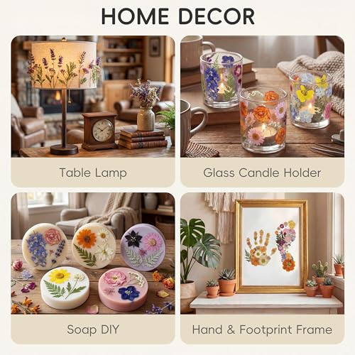 LUXEEASE 4-Color 80P Natural Dried Pressed Flowers - color: Orange/Purple/Pink/Neutral 80p