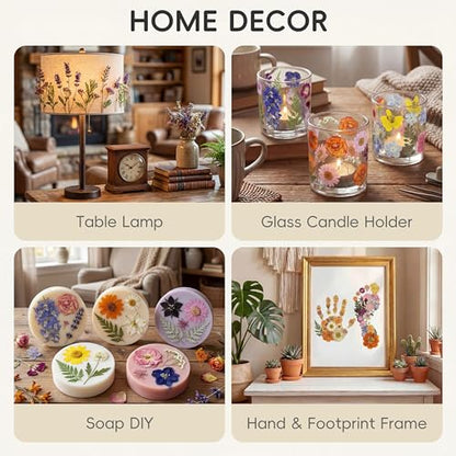 LUXEEASE 4-Color 80P Natural Dried Pressed Flowers - color: Orange/Purple/Pink/Neutral 80p