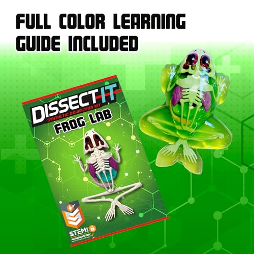 Top Secret Toys Dissect-It Mini Labs Frog Dissection Kit for Kids, Realistic Synthetic Kids Science Kit - On, Biology and Animal Anatomy, STEM Toy, Ages 6+ - style: Mini Frog