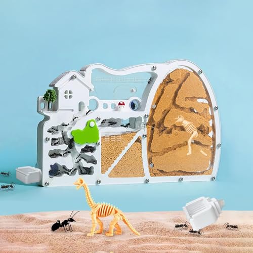 Ant Farms with Forage Box, Large Sand Ant Colony Observation Kit