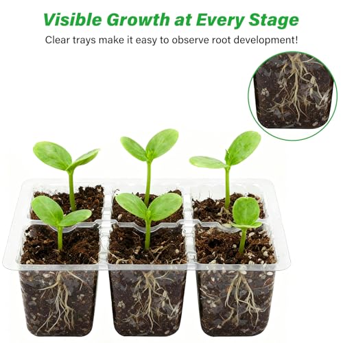 Bonviee 10-Pack Seed Starter Trays, 6-Cell Insert Trays, Clear - color: Clear, size: 60 XL Cells