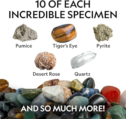 National Geographic Rock Collection with 50 Specimens to Share for Kids