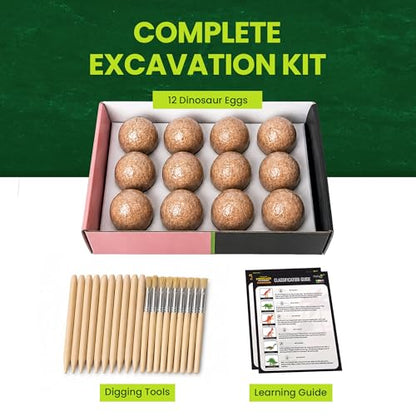 Nature Gear Dino Dig Kit for Kids, Dinosaur Eggs Digging Kit, Educational Egg Excavation Kit with 12 Glow in The Dark Mystery Dinosaurs, Interactive Archaeology Fossil Toy for Kids Age 3-5 and Up - style: Dinosaur Eggs Kit