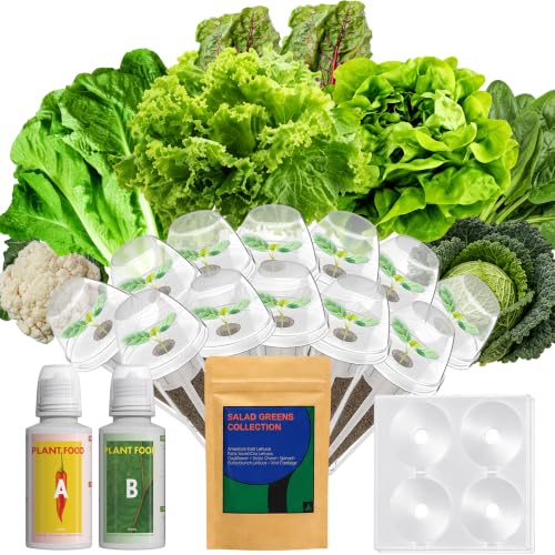 LYKOCLEAN Salad Seed Pods Kit for AeroGarden, Ahopegarden - Includes American Fast Lettuce, Paris Island cos, Buttercrunch, Spinach, Swiss Chard, Cabbage, Cauliflower, 12 pods, 400+ Seeds - color: Salad, size: 12pods