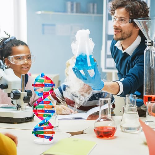 NUOBESTY DNA Model Kit Double Helix Structure Model, 13 in Assembling Biology Teaching Aid with Stand, Color-Coded Base-Pairing A-T G-C, STEM Classroom Science Fair Display for Ages 12+ (Pack of 2) - size: 37.00X11.60X11.60CM (Pack of 2)