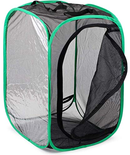 RESTCLOUD Insect and Butterfly Habitat Cage Pop-up 23.6 Inches Tall - color: Black With Green, size: 15.7 x 15.7 x 23.6 inches