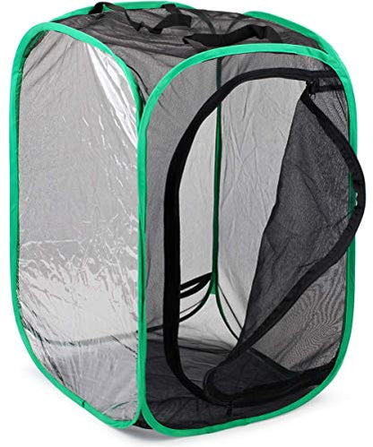 RESTCLOUD Insect and Butterfly Habitat Cage Pop-up 23.6 Inches Tall - color: Black With Green, size: 15.7 x 15.7 x 23.6 inches