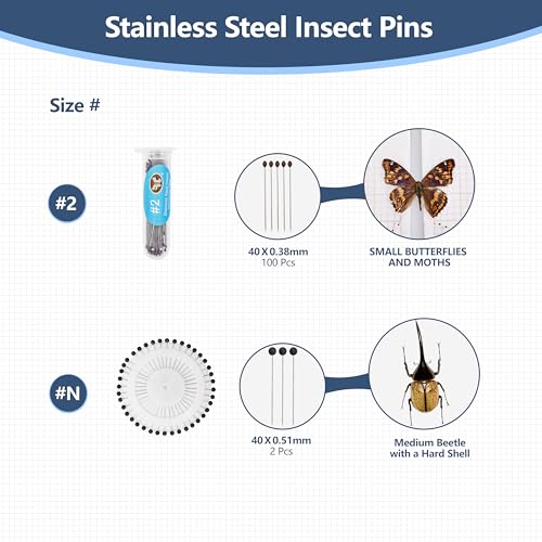 Insect Specimen Tools Kit - EVA Foam Pinning Board, Coordinate Paper, Wings Pressing Paper, Insect Pins & Butterfly Pins, Complete Entomology Kit for Beginners (Walnut Display Case Box Kit) - size: Walnut Display Case Box Kit