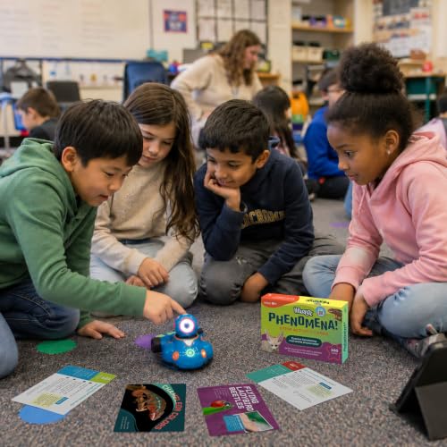 Science STEM Activity Cards Ages 8+ - style: Ages 8+