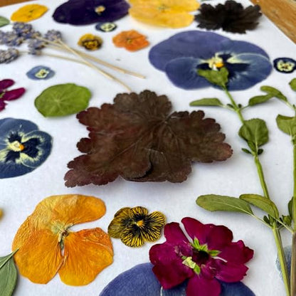 GTQYYF Large Flower Press Kit 10.8 x10.8 inches with Storage Bag,Solid Wood Flower Press Kit - DIY Arts and Craft Kit 10 -Layers, Ideal Gift for Flower & Plant Lovers - size: 10.8 x 10.8 inches