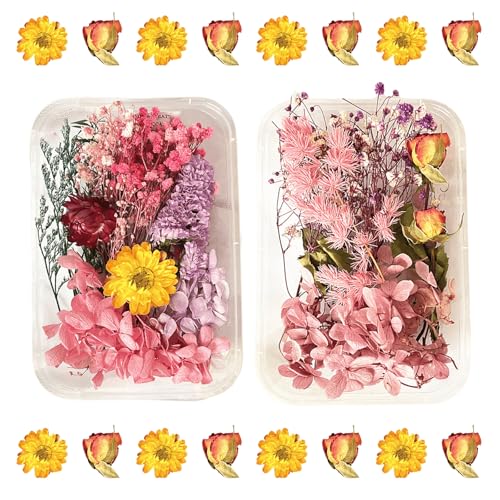 2PCS Dried Flowers Kit, Natural Dried Flowers Kit for DIY Crafts, Scrapbook, Card Making (Style15_28) - color: Style15_28