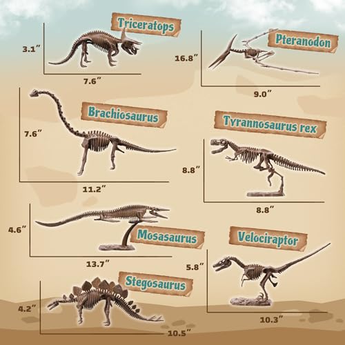 7-Pack Big Dinosaur Fossil Skeleton Building Kit | Take Apart & Rebuild Dinosaur Bones Models | STEM Science Archaeology Toy Gift for Kids 6+ | T-Rex, Triceratops, Velociraptor