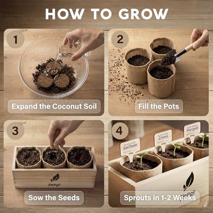 AVERGO Sunflower, Marigold & Zinnia Flower Seeds Growing Kit