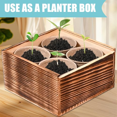 Indoor Daisy Garden Starter Kit, 4 Flower Seeds Growing into Shasta Daisy, Cornflower, Sunflower, Zinnia, Including Complete Gardening Tools for Women Men & Beginners