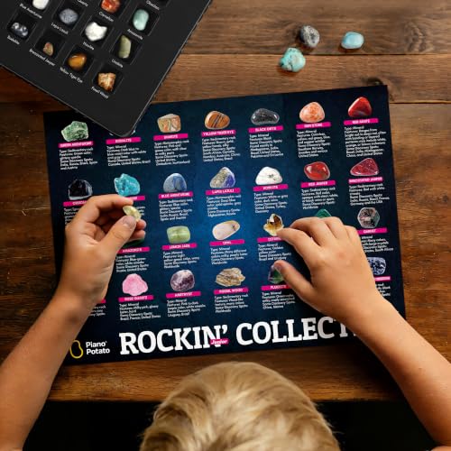 Rocks Collection 24 PCS Rock and Mineral Education Set Gemstones for Kids Geology Gem Kit with Tiger’s Eye Rose Quartz Red Jasper and More Identification Guide STEM Science Education - style: 24 Pieces