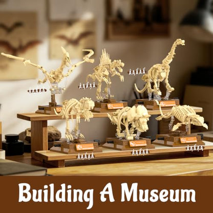 Dinosaur Fossil Building Sets, Mechanical Dino Skeleton Model - color: Dinosaur