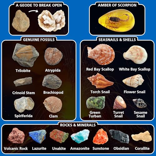 PIBEX Volcano & Ocean Dig Kit, 20+ Real Fossils, Rocks, Shells & Geode