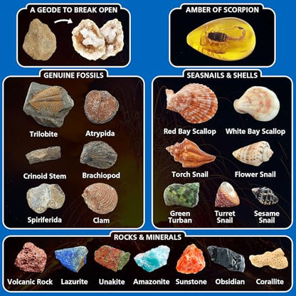 PIBEX Volcano & Ocean Dig Kit, 20+ Real Fossils, Rocks, Shells & Geode