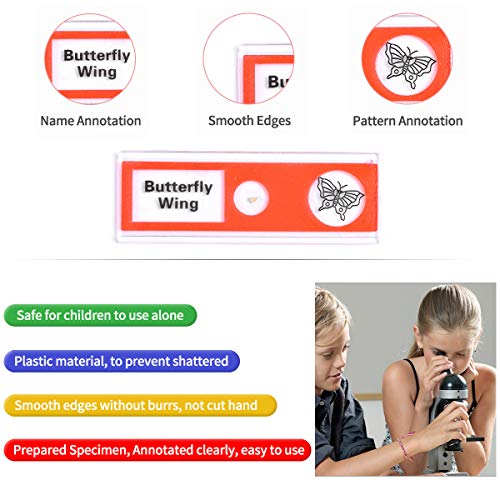 48pcs Plastic Prepared Microscope Slides - size: 48pcs