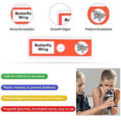 48pcs Plastic Prepared Microscope Slides - size: 48pcs