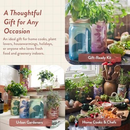 Modern Sprout Mason Garden Jar - Self-Watering Hydroponics Kit - Rosemary - color: Rosemary, size: Garden Jars