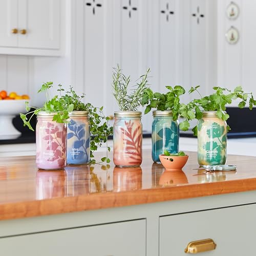 Modern Sprout Mason Jar Grow Set 6pk - Hydroponic Indoor Herb Garden Kit - color: Basil + Mint + Parsley + Cilantro + Rosemary+ Lavender, size: Garden Jars