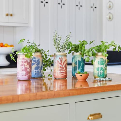 Modern Sprout Mason Jar Grow Set 6pk - Hydroponic Indoor Herb Garden Kit - color: Basil + Mint + Parsley + Cilantro + Rosemary+ Lavender, size: Garden Jars