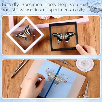 DoubleFill Insect Specimen Kit with Display Case Pins Tools for Biology